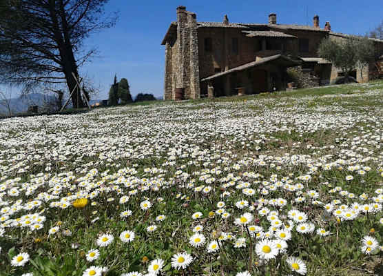 Agriturismo Le Roghete 1