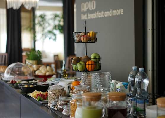 Hotel Aplo - Breakfast Experience 1