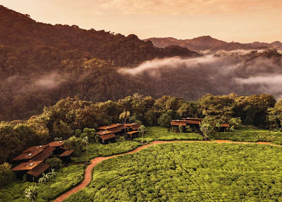 One&Only Nyungwe House 1