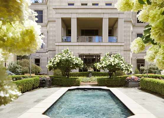 Waldorf Astoria Atlanta Buckhead 1