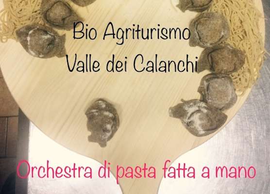 Bio Agriturismo Valle dei Calanchi 1