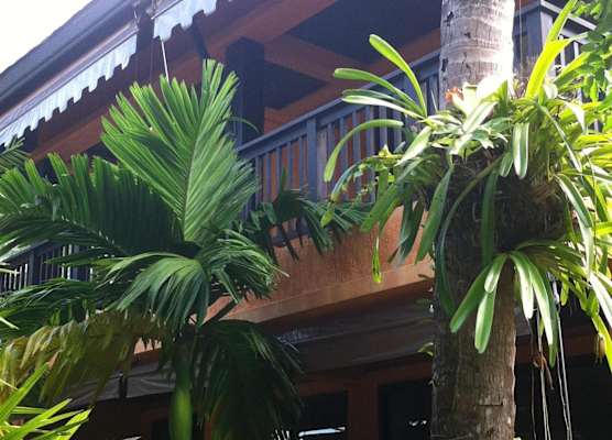 The Shambhala Khaolak Resort 1