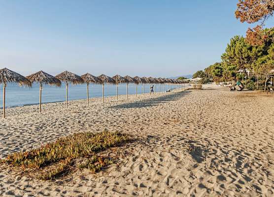 Mobile Homes Perla di Mare 1
