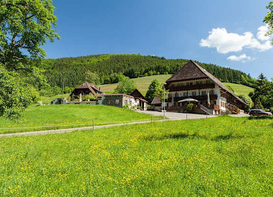 Landgasthaus Grüner Baum 1
