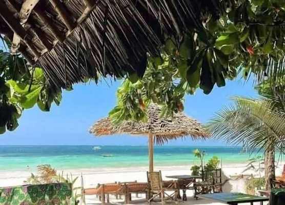Sipano Beach Lodge Kiwengwa 1