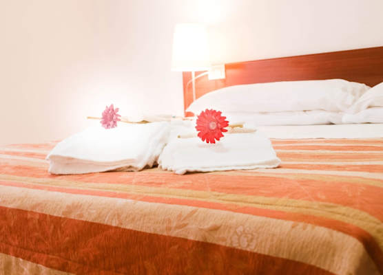 Residence Auriga 1