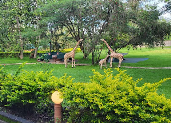 Meru View Lodge 1