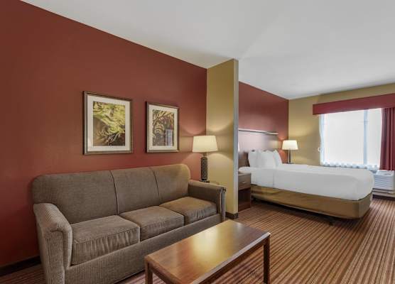 Best Western Plus Hudson Hotel & Suites 1