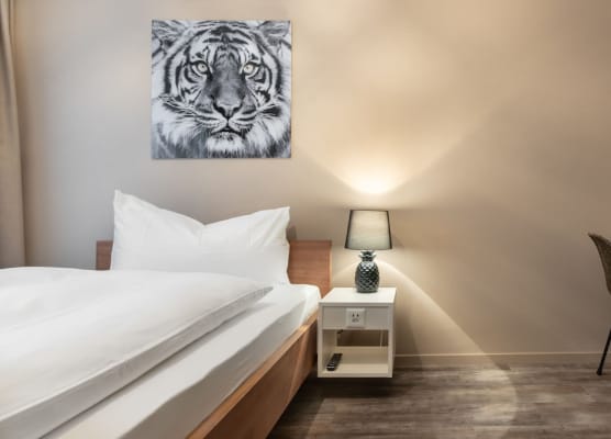 Hotel Birsighof Basel City Center 1