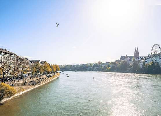 Krafft Basel 1