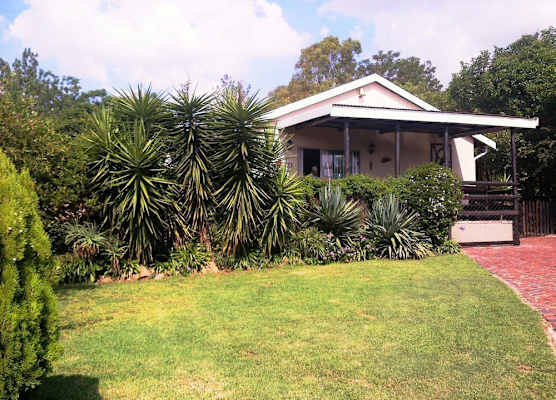 Pine Tree Lodge 1
