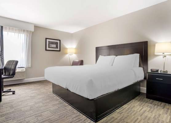Best Western Bayou Inn 1