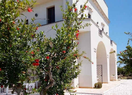 Tenuta Gli Agrumi del Salento 1