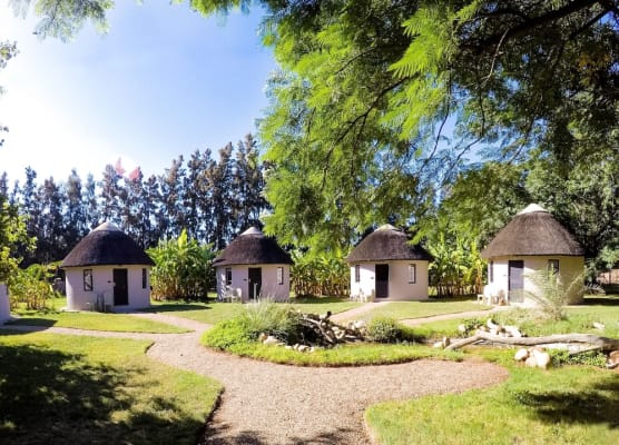 Addo African Home 1