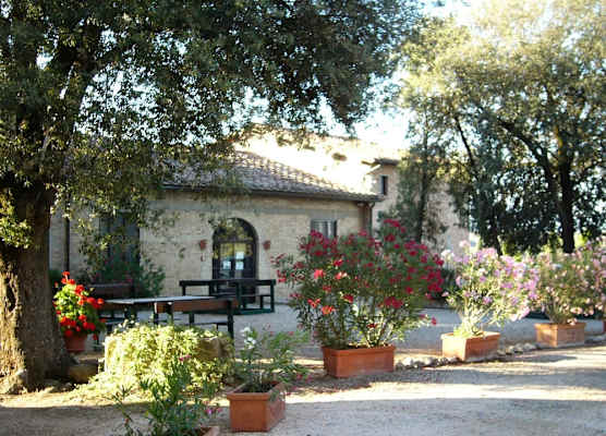 Fattoria Pieve a Salti 1