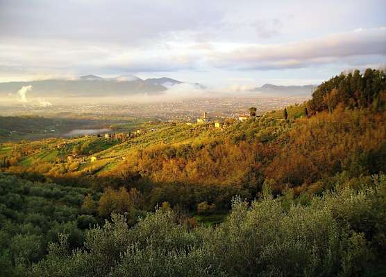 Fattoria Gambaro di Petrognano 1