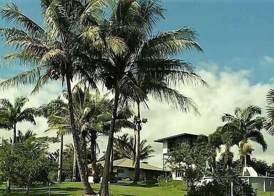 Island Goode's - Luxury Adult Only Accommodation near Hilo 1