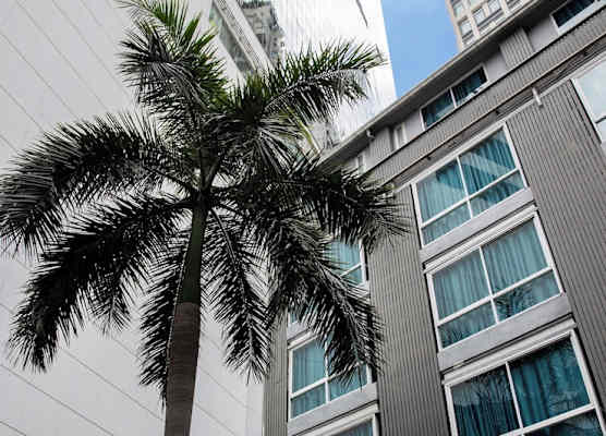 Nantra Sukhumvit 39 1