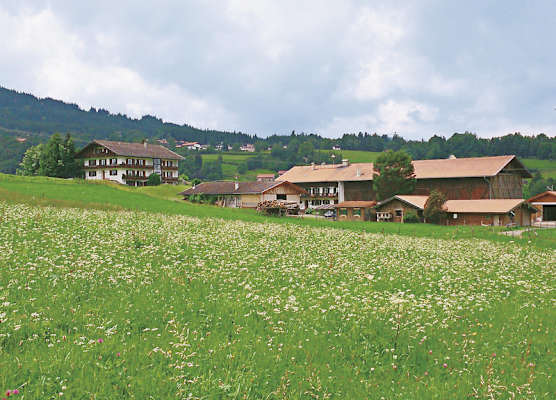 Gästehaus Kohlerhof 1