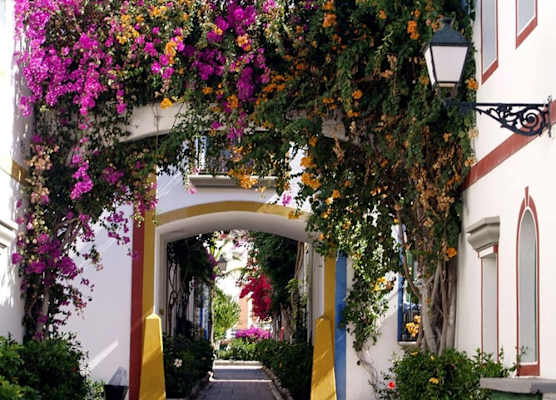 Charming 1 Bedroom Apartment in Puerto de Mogán 1