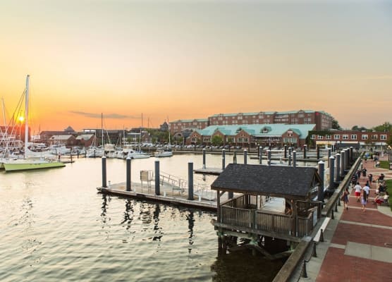 Newport Marriott Hotel & Spa 1