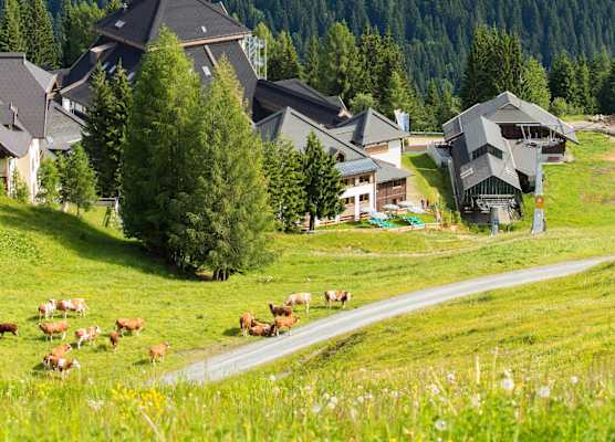 ALDIANA CLUB SCHLANITZEN ALM - Hermagor 1