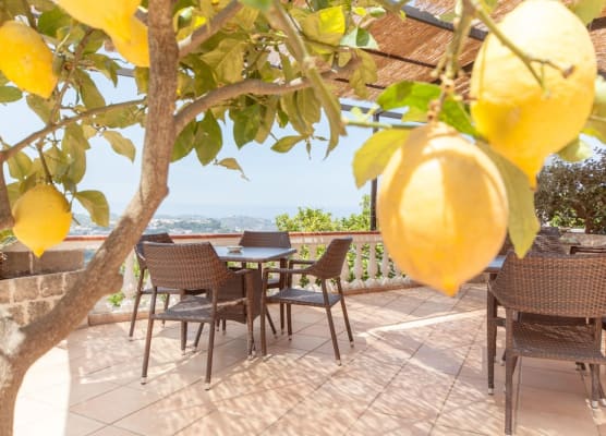 Hotel Ape Regina 1
