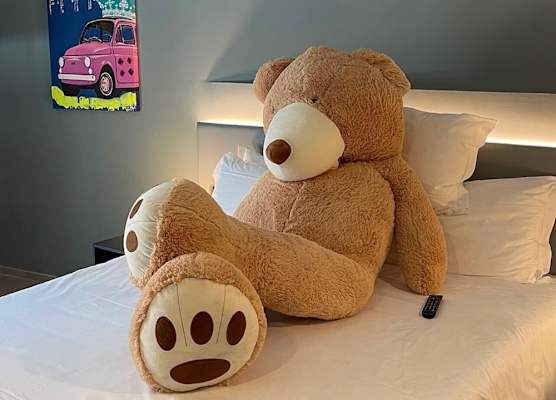 Arryvo Hotel 1