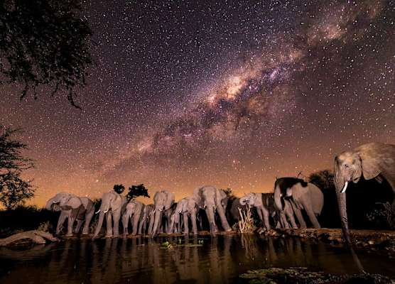 Antares Bush Camp & Umgede Hide 1