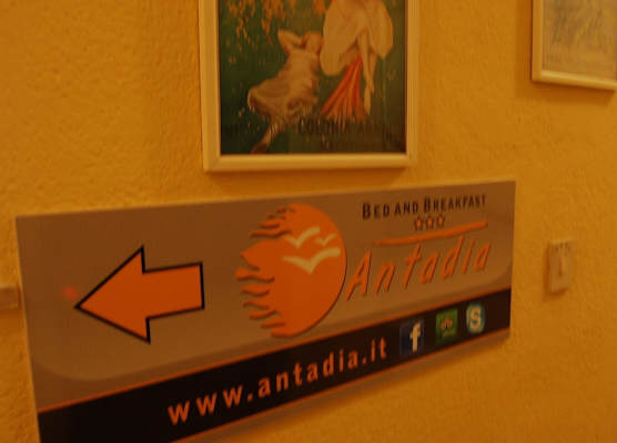 Antadia Terminal Bus 1