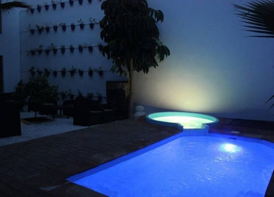 Casa Patio las Palmeras Córdoba con piscina 1