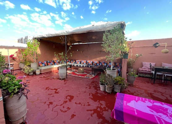 RIAD MALFA 1