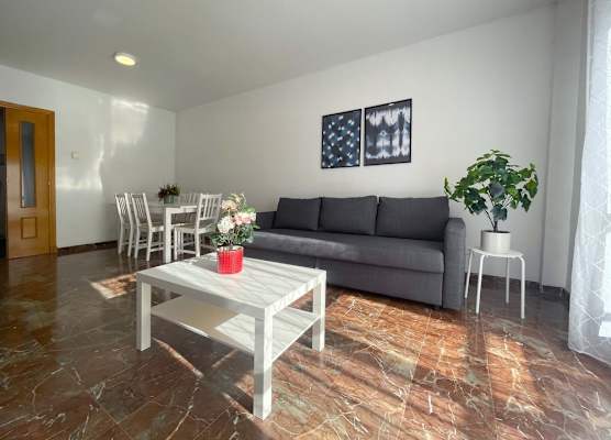 Apartamentos el Pilar Suites 3000 1