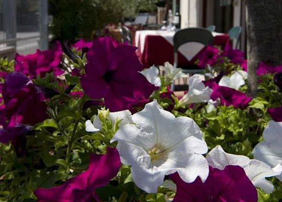 Hotel Scaligero 1