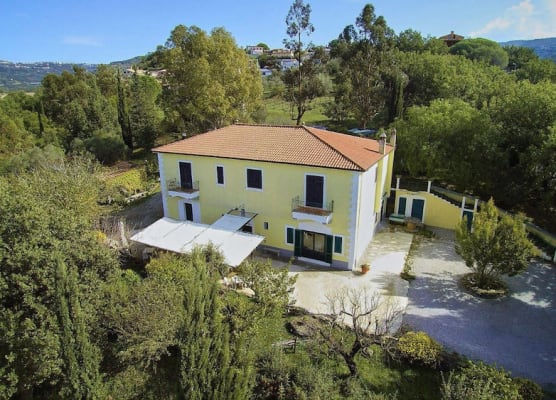 Lamione da Dorotea 1