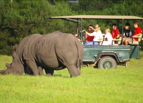Kragga Kamma Game Park 1