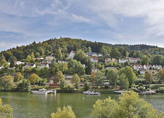 Hotel Neckarlux 1