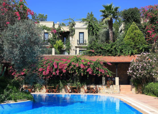 Hotel Zeytinada 1