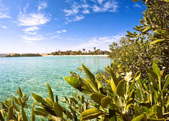 Mangrove Bay Resort 1
