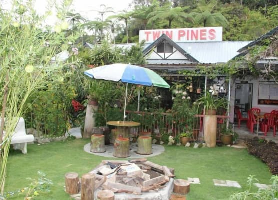Twin Pines 1