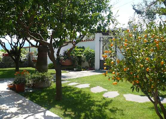 Azienda Agrituristica Villa Arianna 1