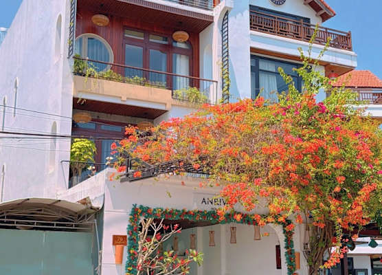 Anriva Hoi An 1