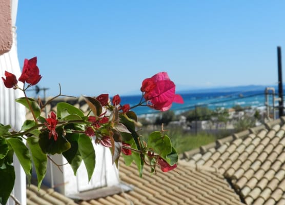 Infinity blue beach apartments - Renovated Apartments 2 Minutes from the Sea & Pool with Scenic Views 1