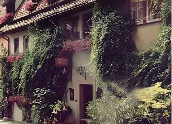Altfraenkische Weinstube 1