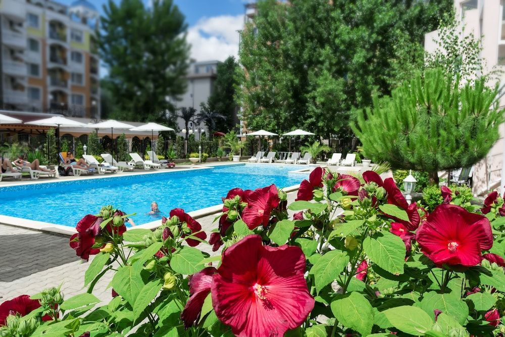 Paris - Mer Noire, région de Bourgas, Bulgarie - Vanilla Garden Apartments - Mer Noire, région de Bourgas, Bulgarie