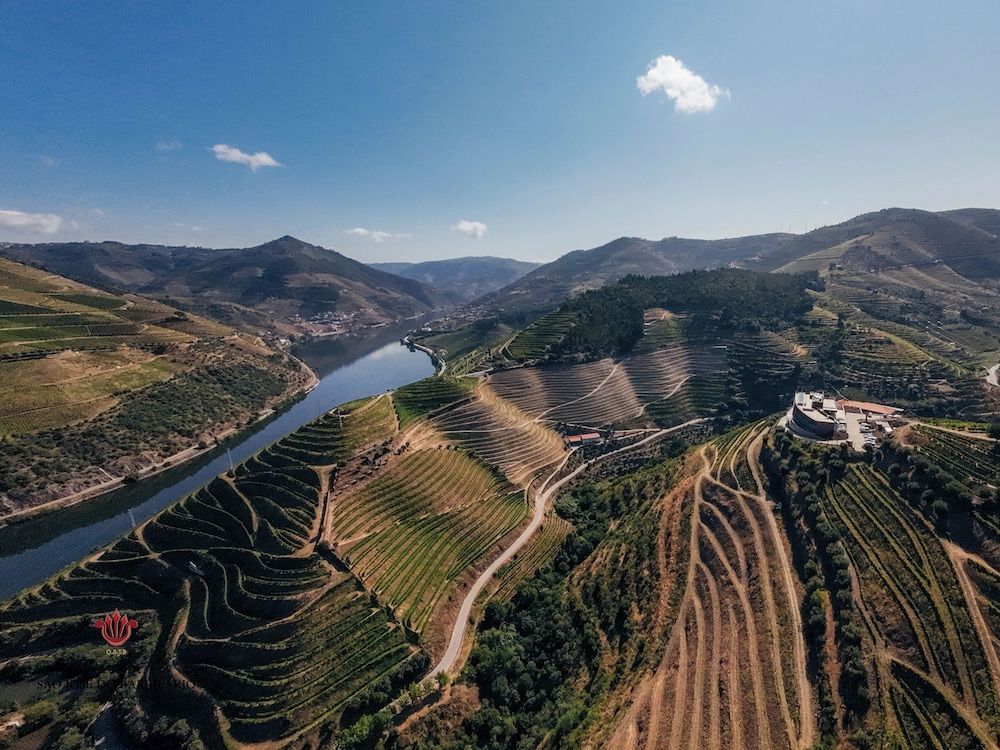 Lyon - Peso da Régua - Barrilario Douro Wine Hotel e Spa - Quinta São Jose do Barrilario - Peso da Régua