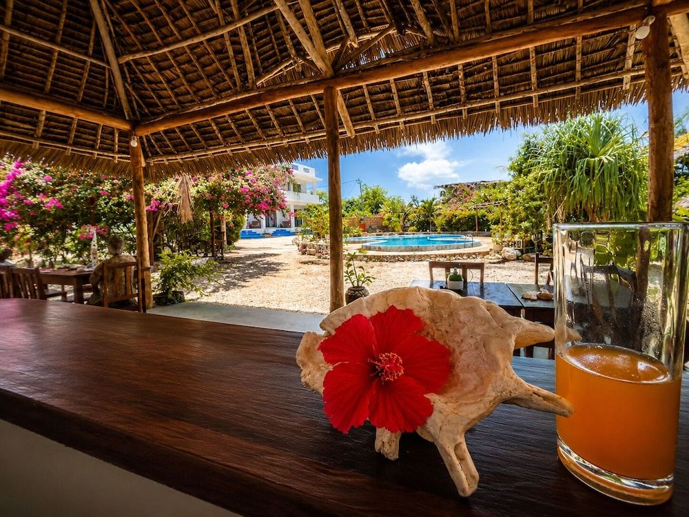 Paris - Kiwengwa - Amani Villa Zanzibar - Kiwengwa