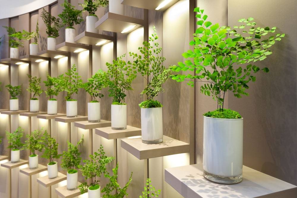 Hotel Condes de Barcelona 2