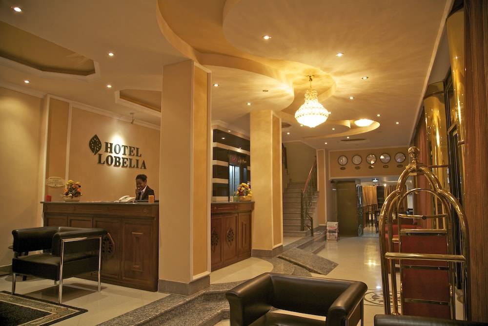 Hotel Lobelia 2