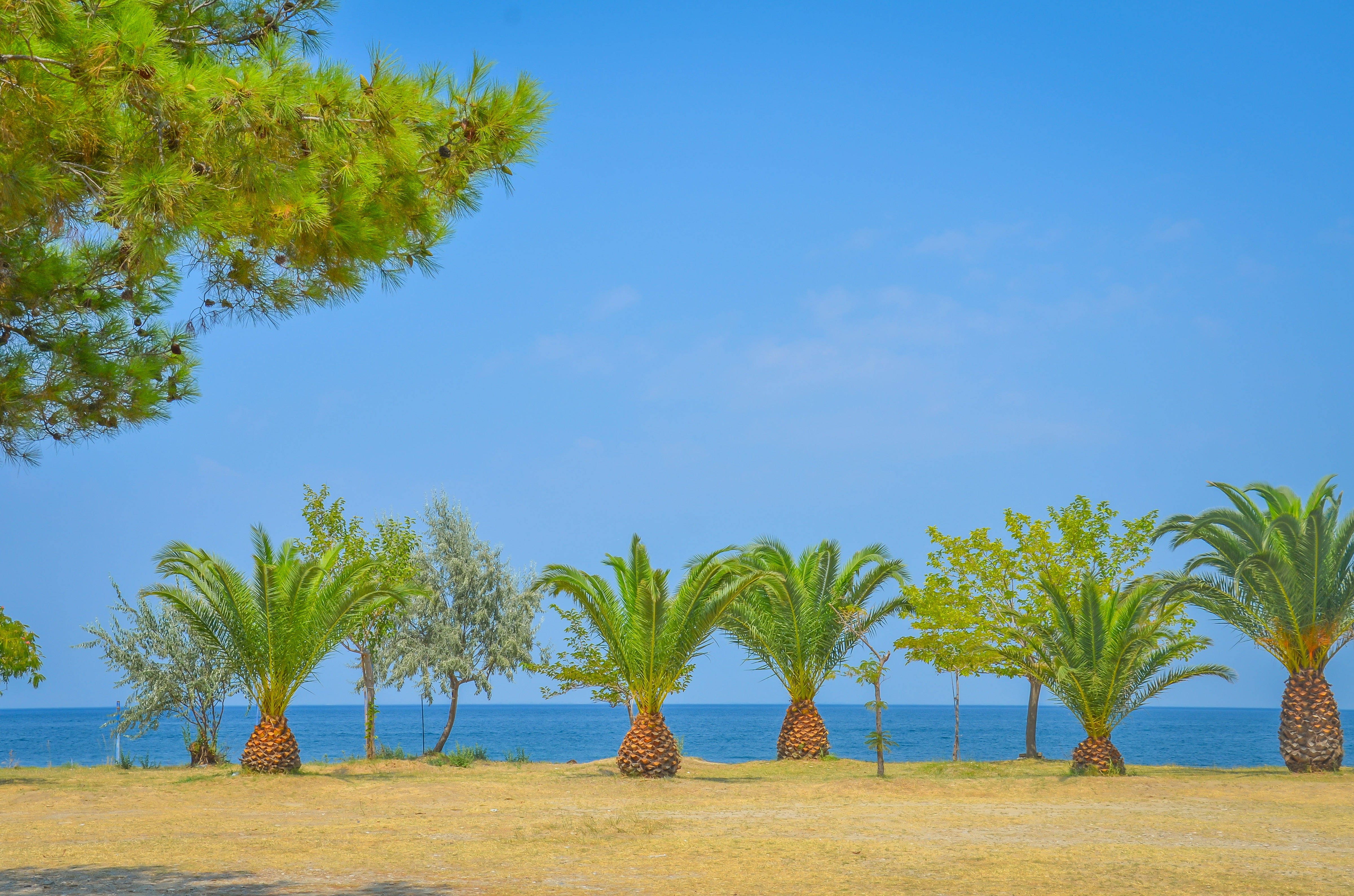 Inspira Boutique Hotel Thassos - Adults Only 2